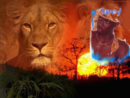 king laye